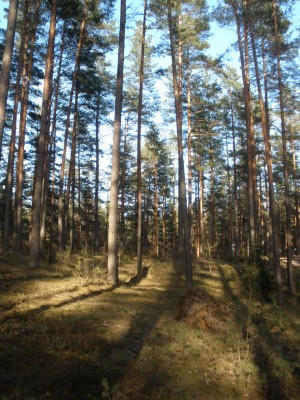 P4080200.JPG