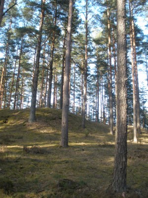 P4080201.JPG