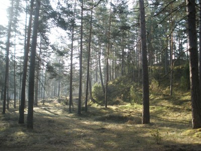 P4100160.JPG
