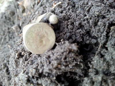 20150408_151557.jpg
