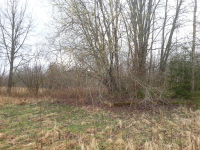 20150413_163302.jpg