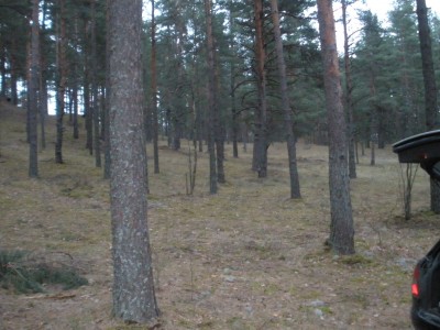 P4150202.JPG