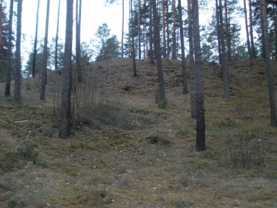 P4150203.JPG