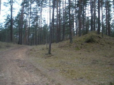 P4150204.JPG