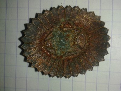 20150418_150359.jpg