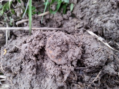 20150420_180630.jpg