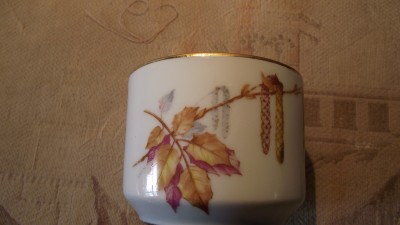 DSCF2850.JPG