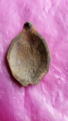 20150422_184451.jpg