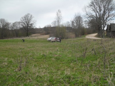 SDC16806.JPG