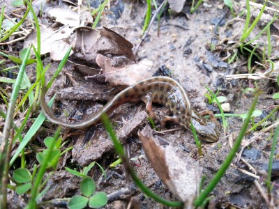 20150427_113551.jpg