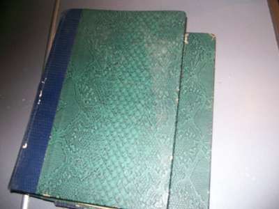 100_4120.JPG