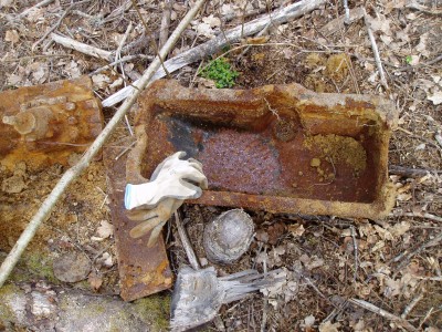 P1010003.JPG