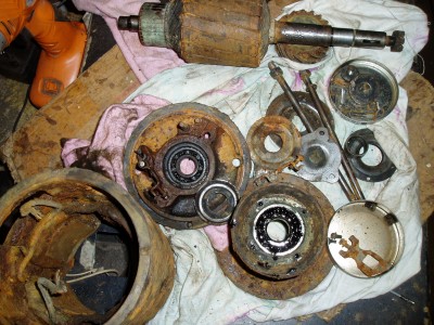 P1010007.JPG