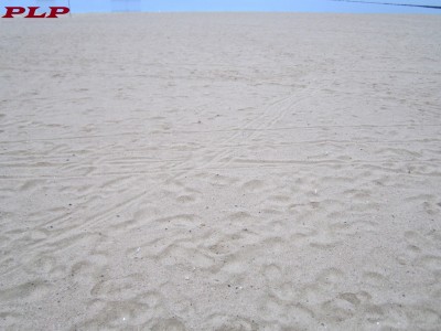 05.05.JPG
