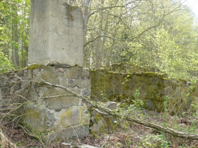 P1120283 (Medium).JPG