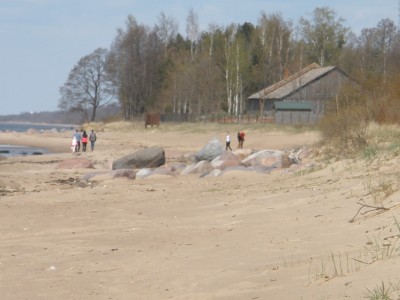 P5010187.JPG