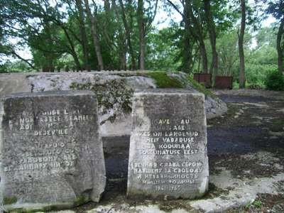 SSA54586.JPG