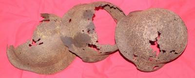 megaLOT-004.JPG