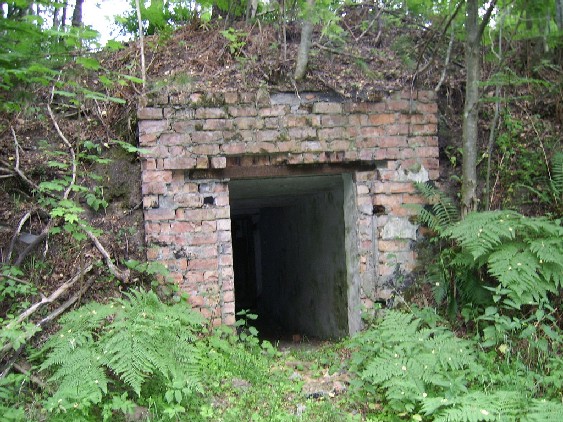 SSA50123.JPG