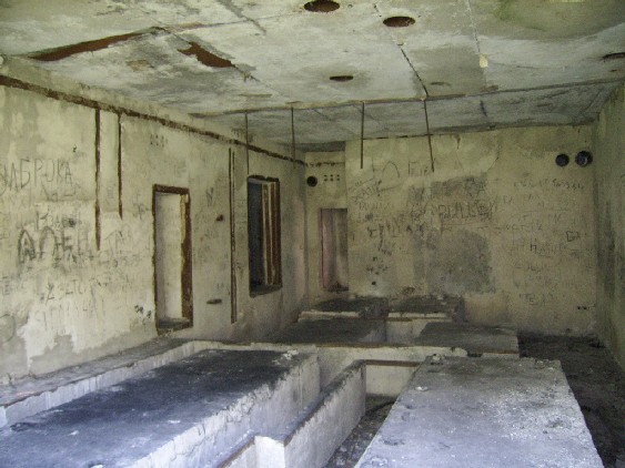SSA50013.JPG