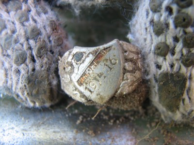 IMG_0020.JPG