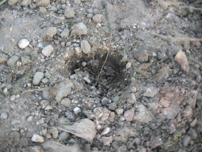 DSCN8929.JPG