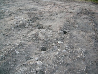 DSCN8938.JPG