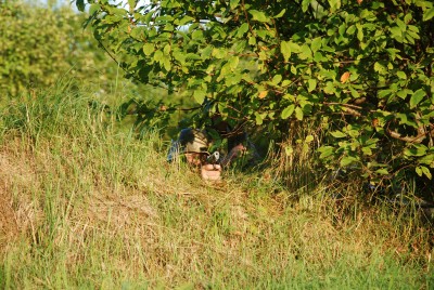 DSC_0797.JPG
