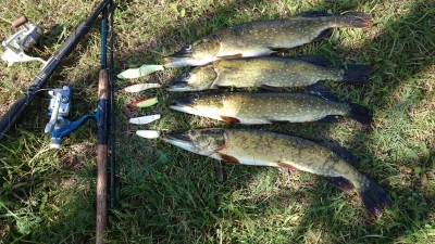 DSC_0324[1].JPG