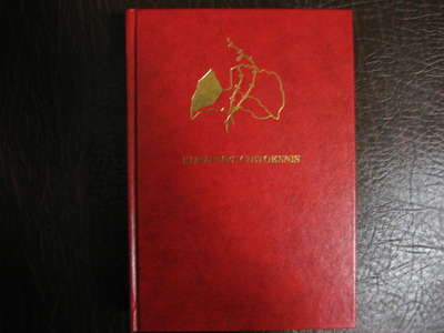 Jaunie loti 035.jpg