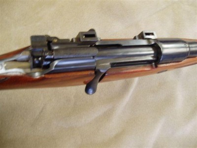 5520259.jpg