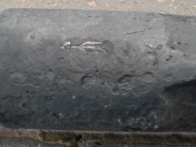 P9291427.JPG