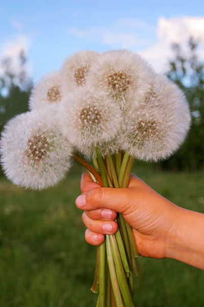 Bouquet1.jpg