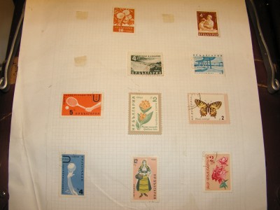 PICT0002.JPG
