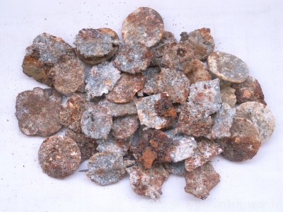 PICT0024.JPG