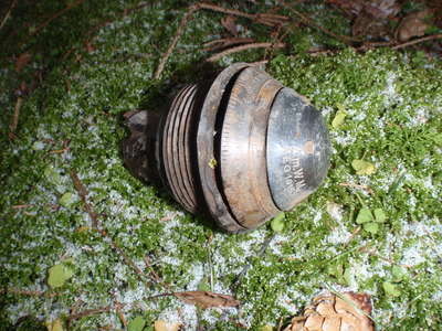 Picture 283.jpg