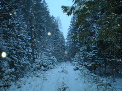 16 dekabrja 2009 003.jpg