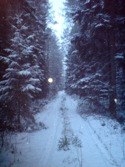 DSC01612.jpg