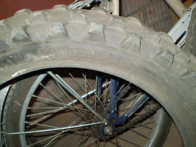 P1010007.JPG
