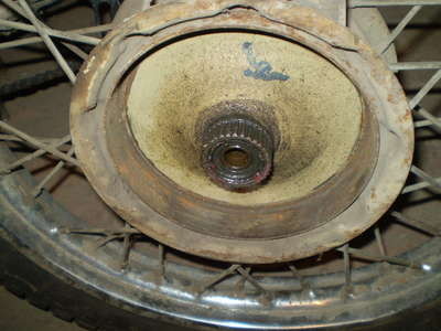 P1010004.JPG