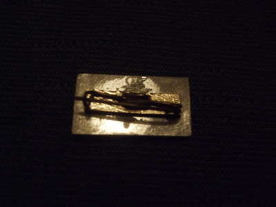 Badge 060.jpg