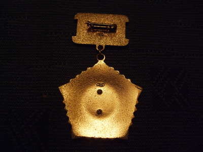 Badge 024.jpg