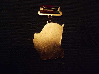 Badge 022.jpg