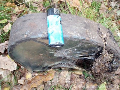 PA064377.JPG