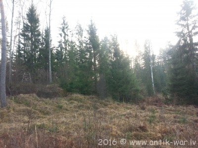 20160207_143403.jpg