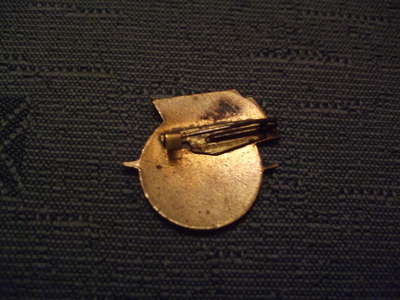 Badge 041.jpg