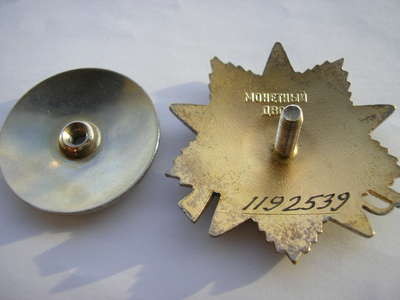 IMGP0007.JPG