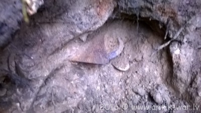 WP_20160211_13_51_08_Pro.jpg