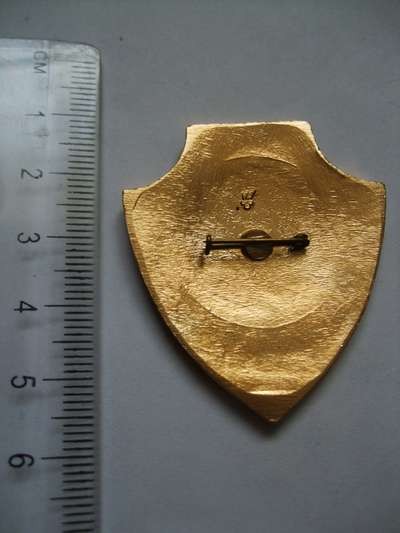 MVD-1 006.jpg