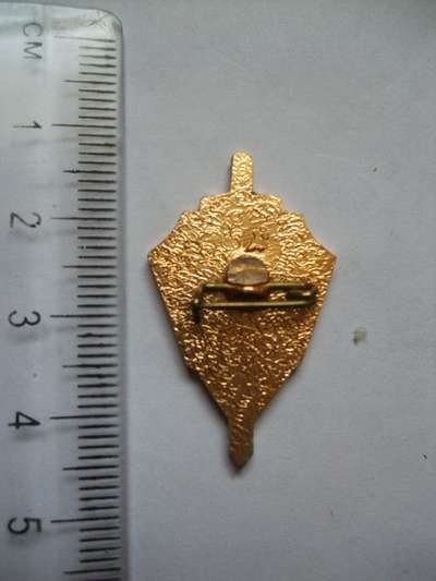 MVD-1 010.jpg